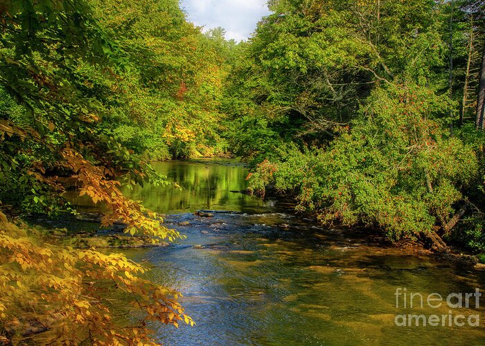 River Greeting Card featuring the photograph Linville River in Autumn by Shelia Hunt