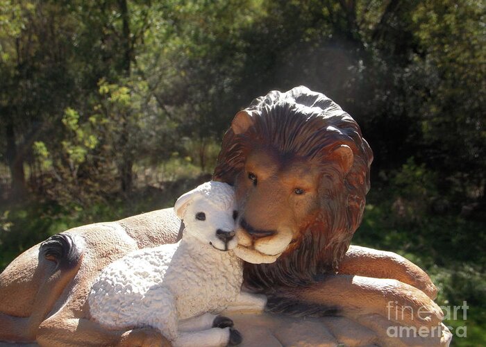  Greeting Card featuring the photograph Lion and the Lamb by Deborah Finley