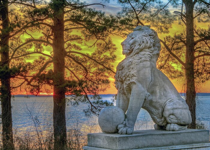Lions Bridge Greeting Card featuring the photograph Lion at Sunset by Jerry Gammon
