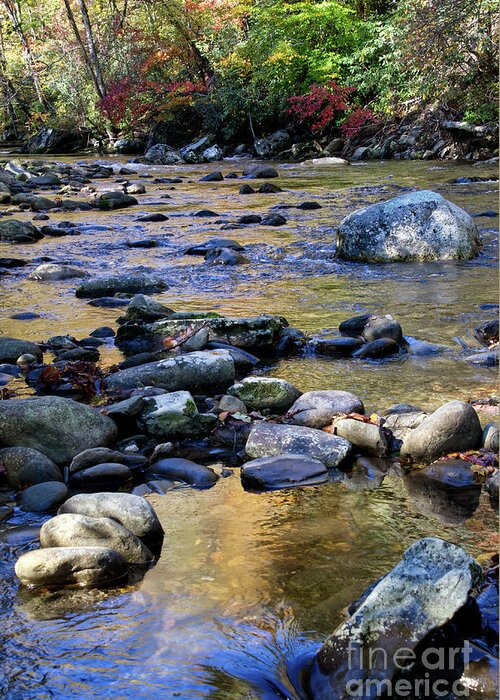 Cascades Greeting Card featuring the photograph Little River In Autumn 2 by Phil Perkins