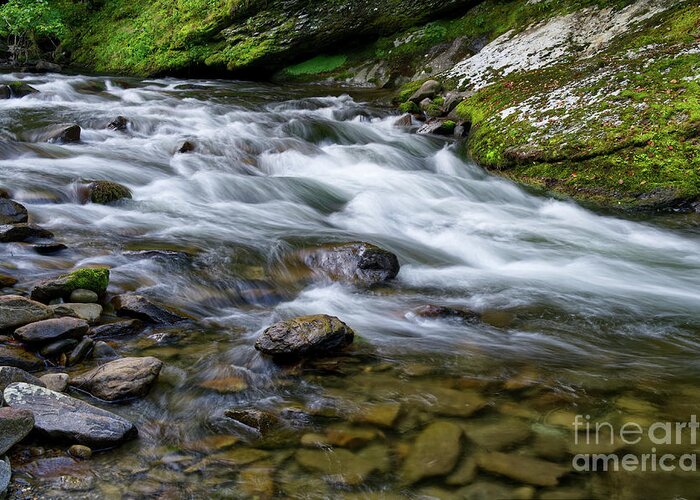 Smokies Greeting Card featuring the photograph Little River Rapids 15 by Phil Perkins