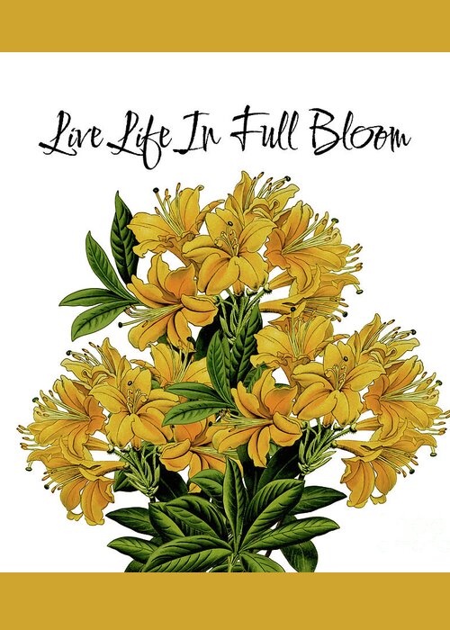 Life Quotes Greeting Card featuring the mixed media Live Life In Full Bloom 2 by Tina LeCour