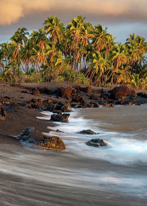 Hawaii Greeting Card featuring the photograph Lone Palm Beach Sunset by Christopher Johnson