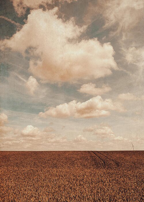 Land Greeting Card featuring the photograph Loneliness by Yasmina Baggili