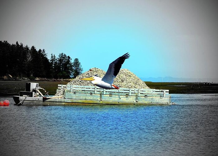  Greeting Card featuring the digital art Long Beach, Oyster Shells Boat, And Pelican by Fred Loring