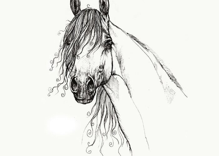 Horse Greeting Card featuring the drawing Arabian horse head 2011 02 14 by Ang El