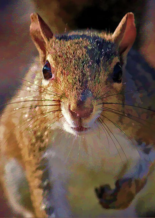 Eastern Gray Squirrel Greeting Card featuring the photograph Look Into My Eyes by HH Photography of Florida