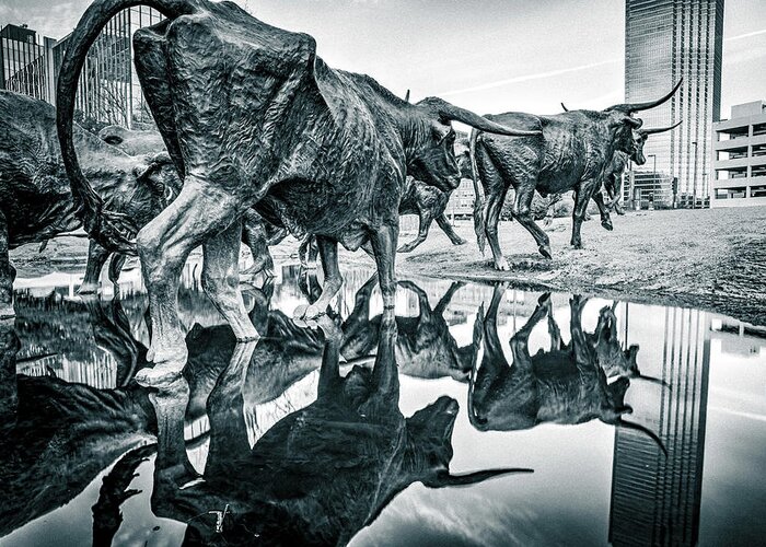 Dallas Skyline Greeting Card featuring the photograph Looking Up At Longhorns - Dallas Texas Selenium Silver by Gregory Ballos