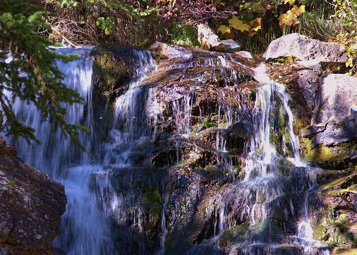 Waterfall Greeting Card featuring the photograph Lost Creek Waterfall by Kae Cheatham