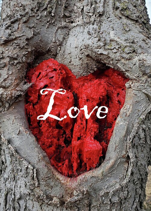 Love Greeting Card featuring the photograph LOVE Red Heart In a Tree by Lynnie Lang
