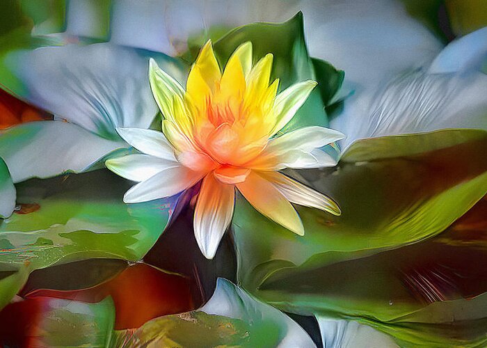 Lily Greeting Card featuring the photograph Lovely Lily Art by Debra Kewley