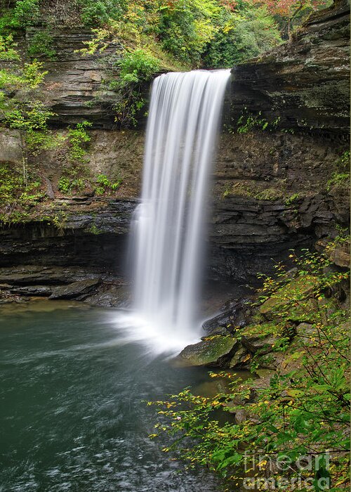 Greeter Falls Greeting Card featuring the photograph Lower Greeter Falls 11 by Phil Perkins