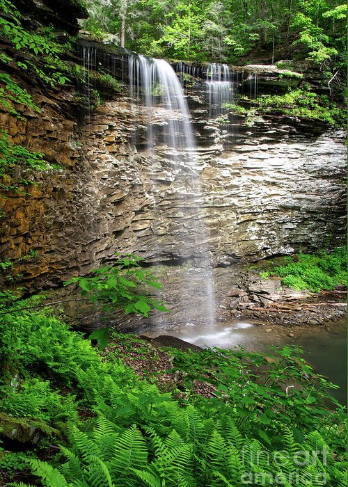 Lower Piney Falls Greeting Card featuring the photograph Lower Piney Falls 12 by Phil Perkins