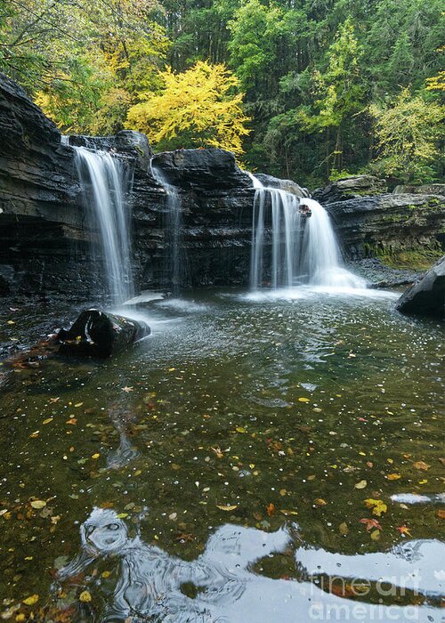 Waterfall Greeting Card featuring the photograph Lower Potter's Falls 27 by Phil Perkins