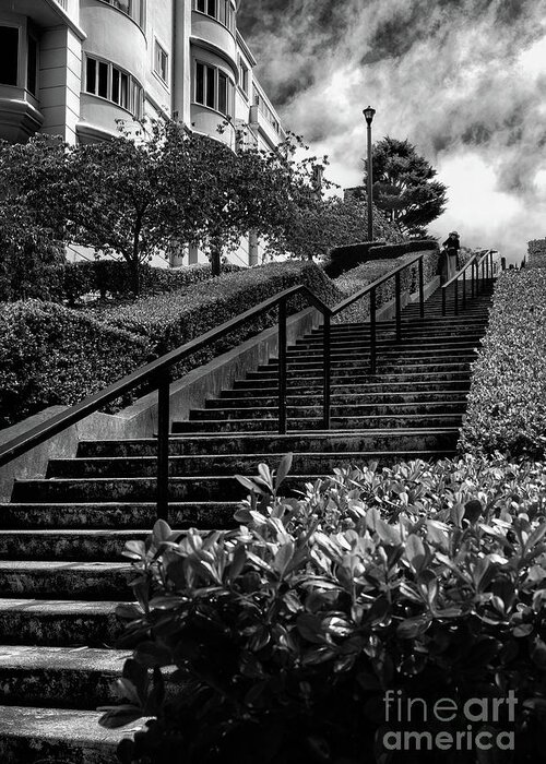 Sfo Greeting Card featuring the photograph Lyon Street Steps by Doug Sturgess