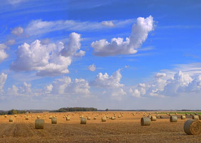 Ag Landscape Greeting Card featuring the photograph M12 Bales by Bruce Morrison