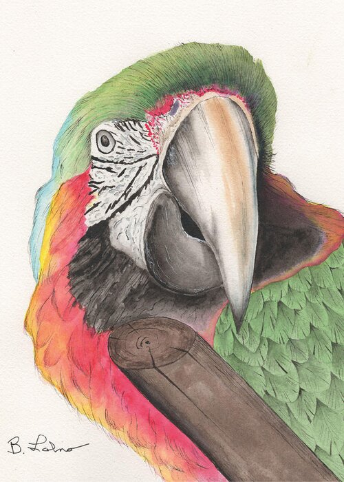 Macaw Greeting Card featuring the painting Macaw #2 by Bob Labno