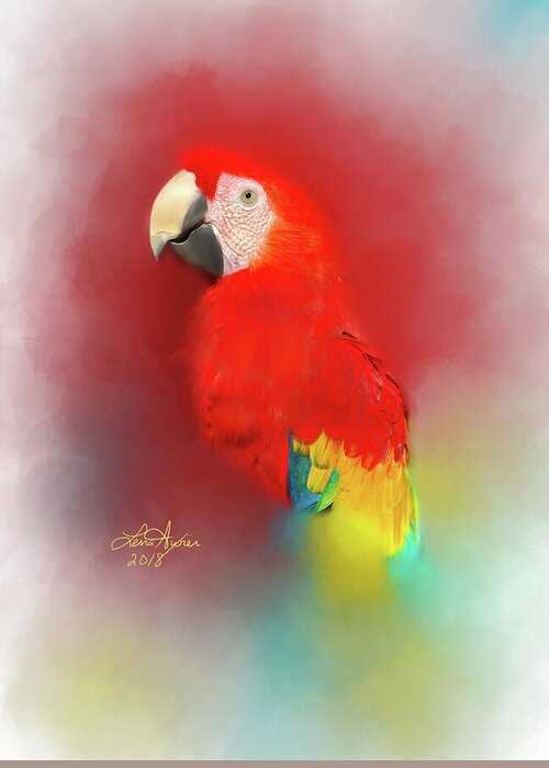 Macaw Greeting Card featuring the digital art Macaw by Lena Auxier