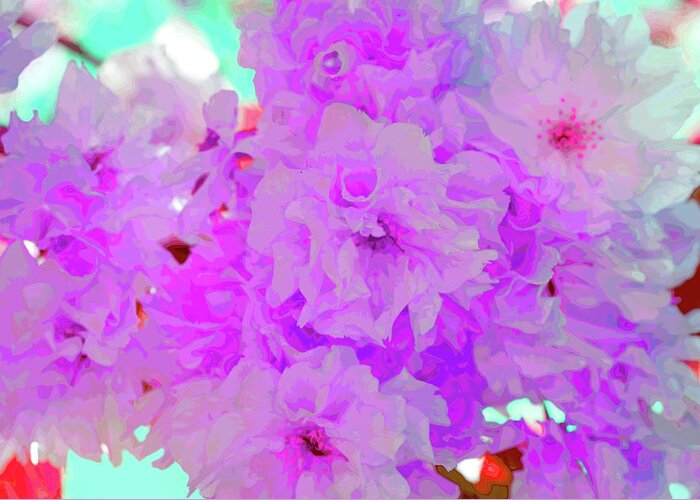 Cherry Blossom Greeting Card featuring the photograph Mad Mauve Cherry Blossom by Nicholas Henfrey