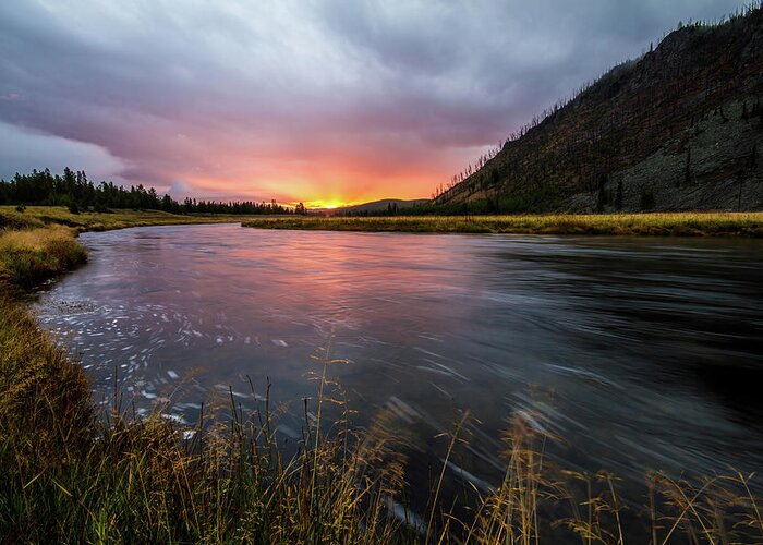Yellowstone Greeting Card featuring the photograph Madison River Sunrise by Wesley Aston