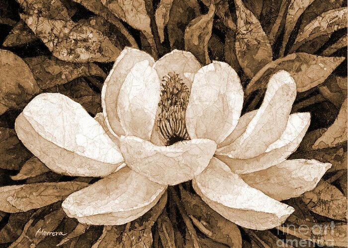 Magnolia Greeting Card featuring the painting Magnolia Grandiflora in sepia tone by Hailey E Herrera