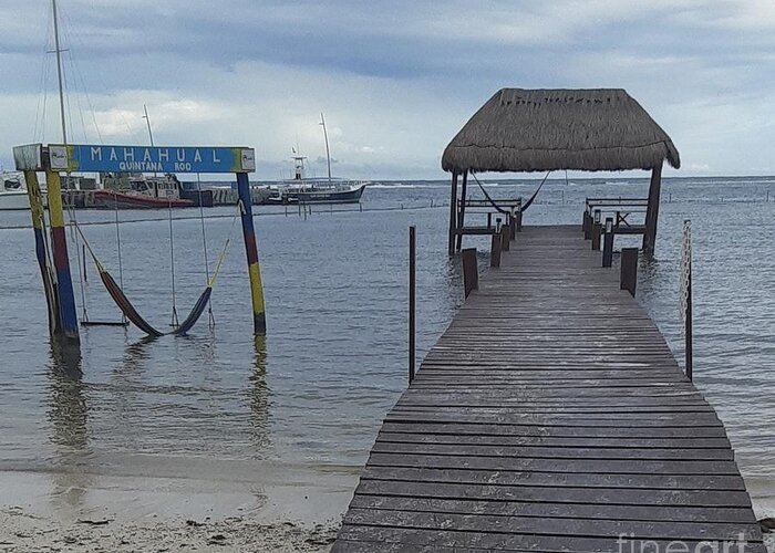 Dock Greeting Card featuring the photograph Mahahual Dock and Swing by Nancy Graham