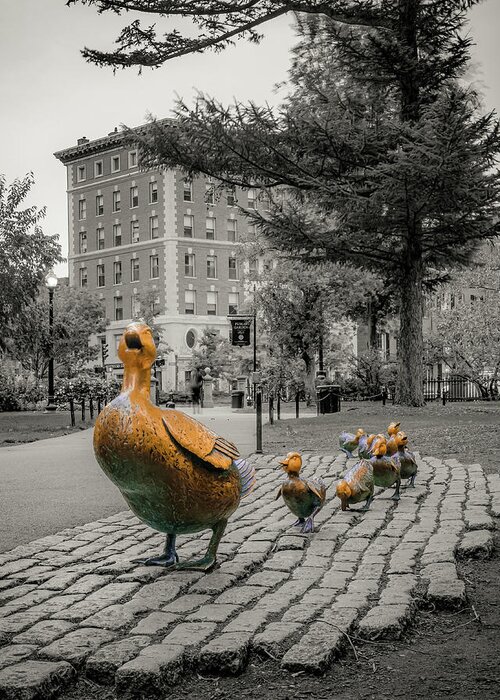 Boston Public Garden Greeting Card featuring the photograph Make Way For Ducklings Statues - Boston Mallard Family by Gregory Ballos