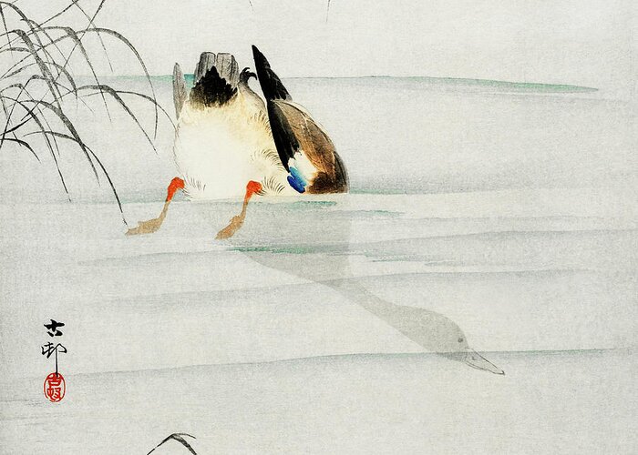 Bird Greeting Card featuring the painting Mallard, the head under water by Ohara Koson