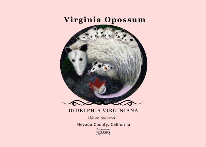 Virginia Opossum Greeting Card featuring the digital art Mama Opossum by Lisa Redfern
