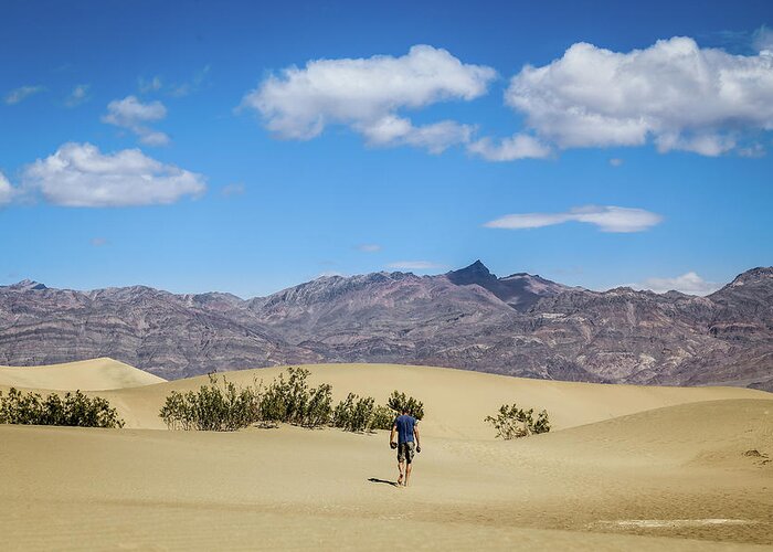 Death Valley Greeting Card featuring the photograph Man hiking in Death Valley NP by Alberto Zanoni
