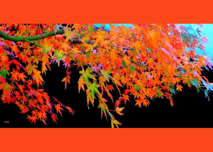 Maple Greeting Card featuring the photograph Maple Magic by VIVA Anderson