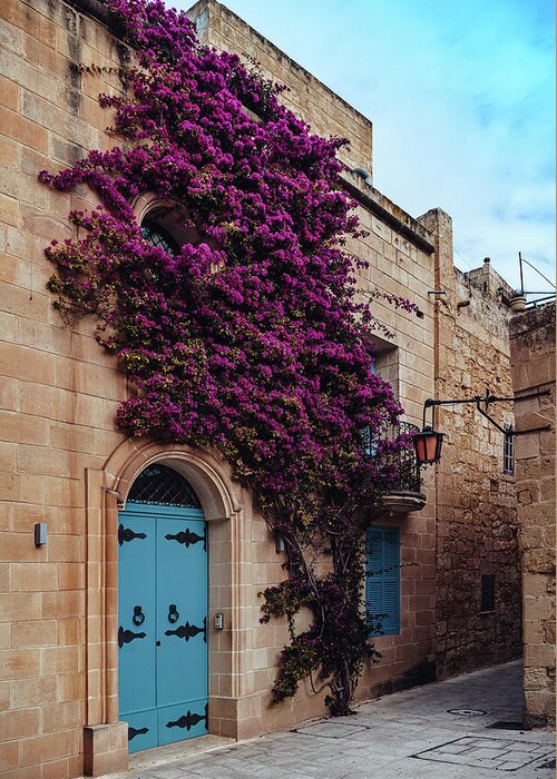 Malta Greeting Card featuring the photograph Mdina Flowers RDX by Nisah Cheatham
