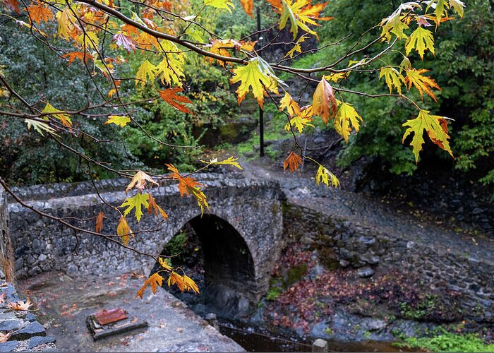 River Greeting Card featuring the photograph Medieval stoned bridge water flowing in the river in autumn. by Michalakis Ppalis