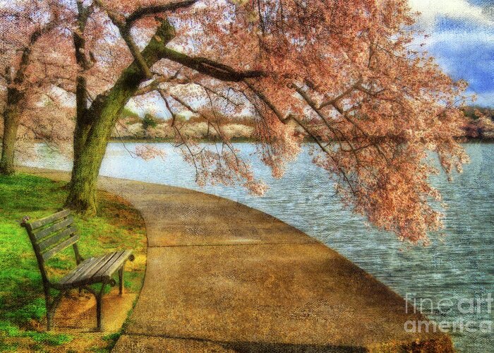 Bench Greeting Card featuring the photograph Meet Me At Our Bench by Lois Bryan