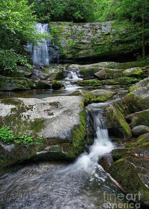 Smoky Mountains Greeting Card featuring the photograph Meigs Falls 18 by Phil Perkins
