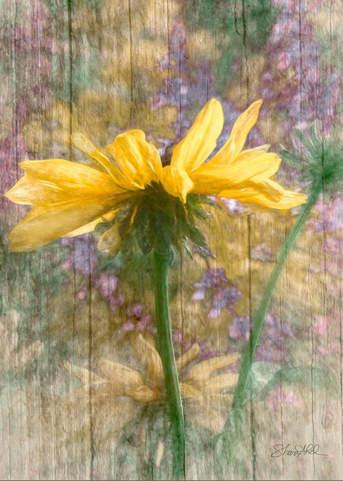  Greeting Card featuring the photograph Mellow Yellow Dream by Shara Abel
