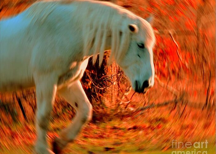 Horse Greeting Card featuring the photograph Memories At Sunset by Tami Quigley