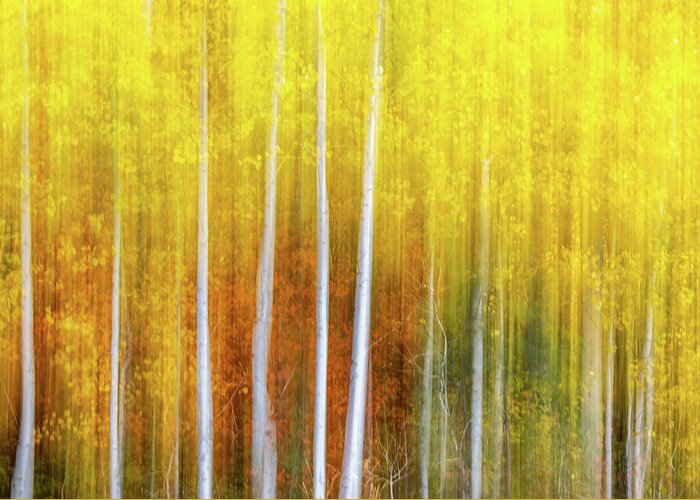 Abstract Greeting Card featuring the photograph Memories of Fall by Laura Roberts
