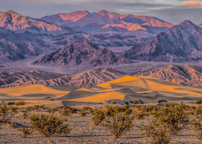 Death Valley Greeting Card featuring the photograph Mesquite Dunes Death Valley overview by Patricia Dennis