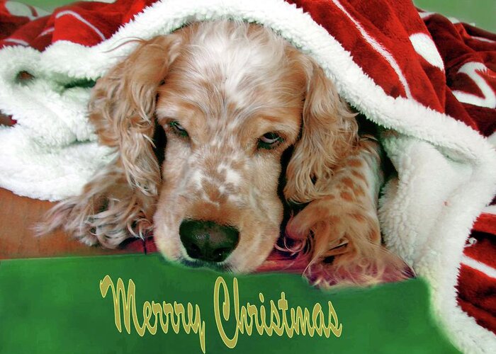 Doggie Art Greeting Card featuring the digital art Merry Christmas Art 32 by Miss Pet Sitter