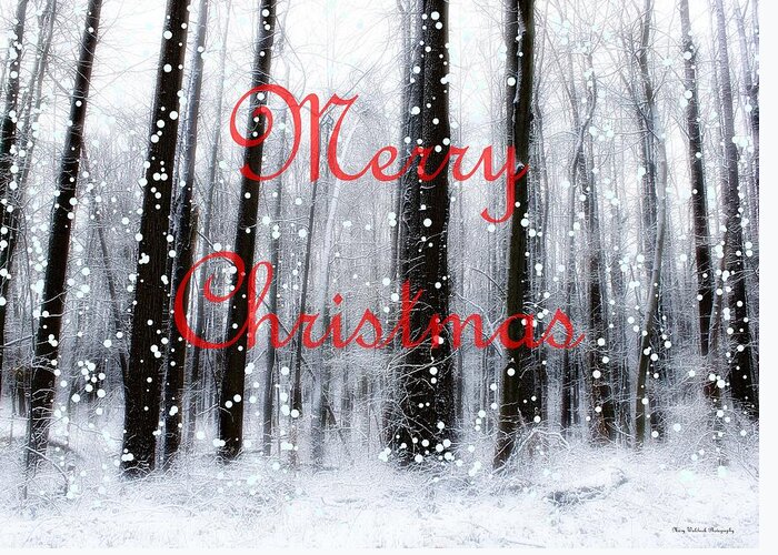 Christmas Greeting Card featuring the photograph Merry Christmas at the Woods of Nimisila by Mary Walchuck