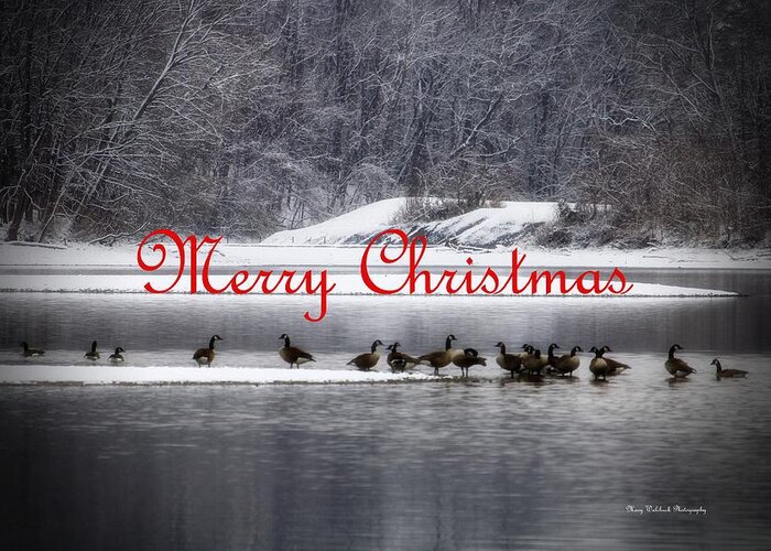 Christmas Greeting Card featuring the photograph Merry Christmas Canadian Geese by Mary Walchuck