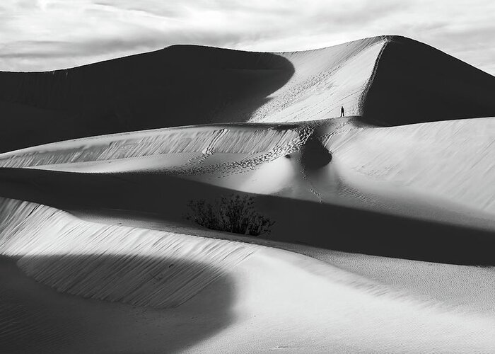 American Landscape Greeting Card featuring the photograph Lone Hiker on Dunes bw by Jonathan Nguyen