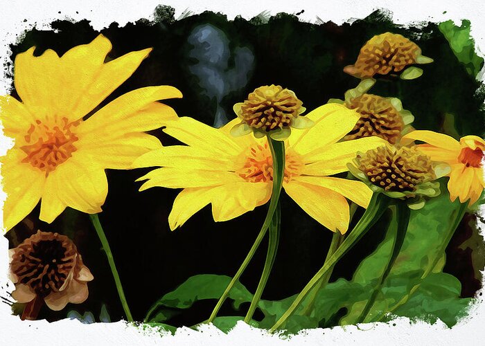 Flower Greeting Card featuring the digital art Mexican Sunflower by Chauncy Holmes