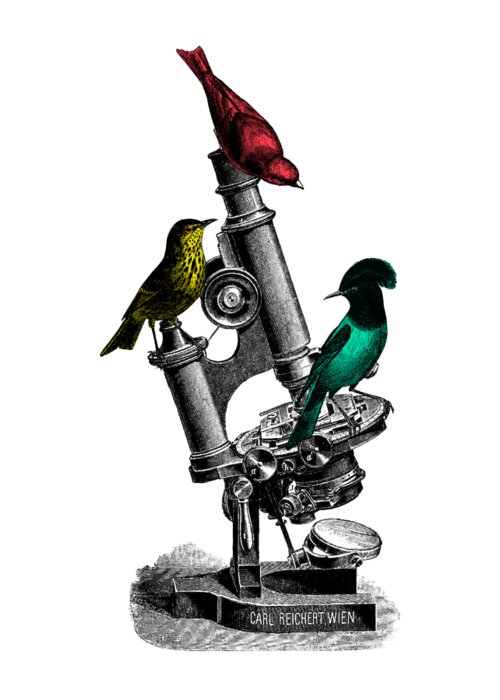 Bird Greeting Card featuring the digital art Microscopic Birds by Madame Memento
