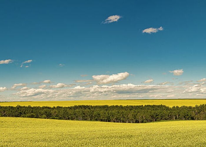 Prairie. Canadian Prairie Greeting Card featuring the photograph Miles and Miles of Nothing But Miles and Miles by Phil And Karen Rispin