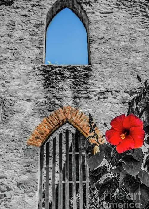  Greeting Card featuring the photograph Mission San Jose Arches - Selective Color by Michael Tidwell