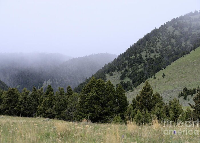 Scenic Greeting Card featuring the photograph Mist in the Mountains by Kae Cheatham
