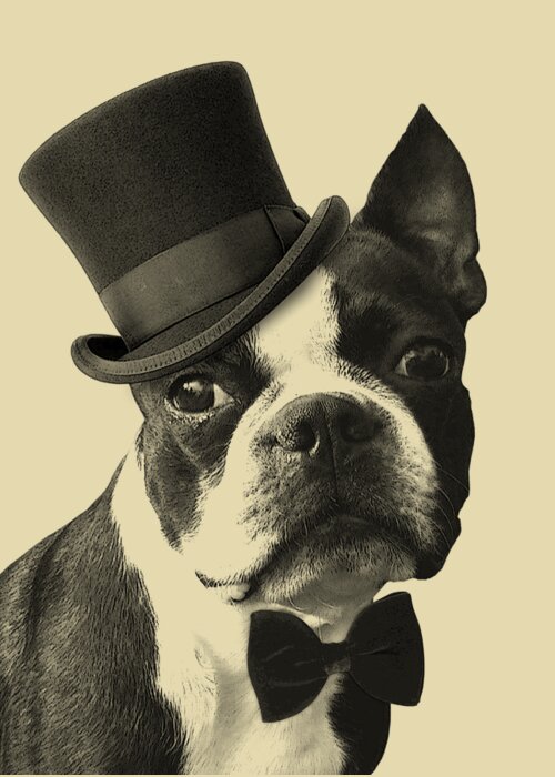 Boston Terrier Greeting Card featuring the digital art Mister Boston by Madame Memento
