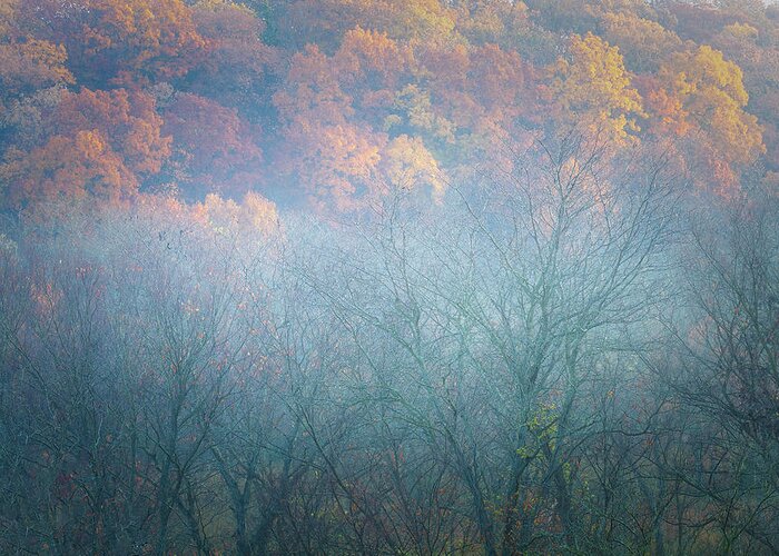 Nature Greeting Card featuring the photograph Misty Autumn by Brad Mangas